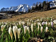 PASSO SAN SIMONE e FORCELLA ROSSA da San Simone-Baita Camoscio - 27apr22- FOTOGALLERY